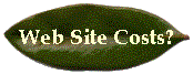 Web Site Costs?